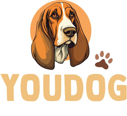 YouDog